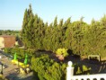 /album/la-finca/a2011-07-20-20-42-22-jpg/